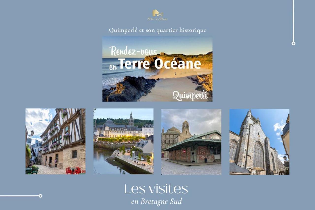 Le Tiguidou, Cosy, Lumineux, 2-6 Pers, Plage 300M Moëlan-sur-Mer Eksteriør billede