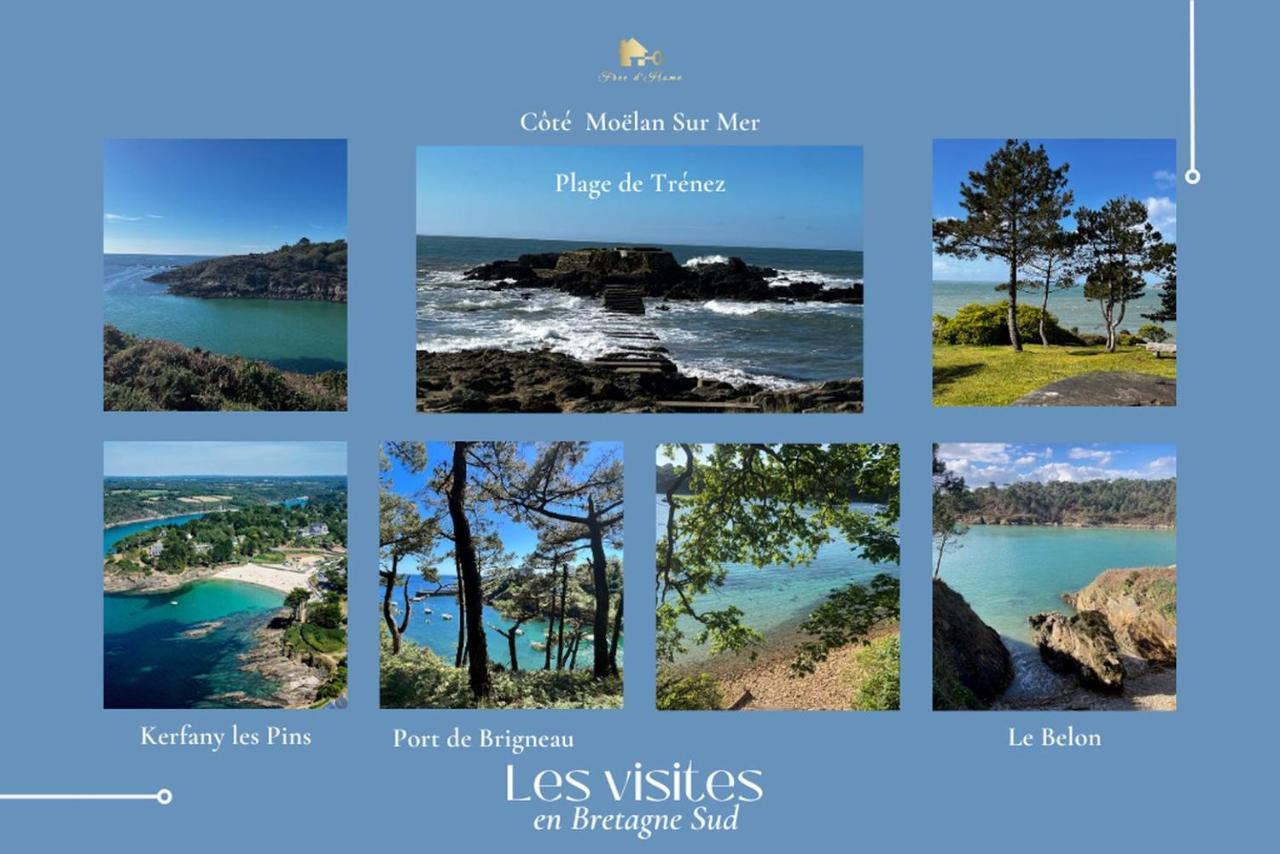 Le Tiguidou, Cosy, Lumineux, 2-6 Pers, Plage 300M Moëlan-sur-Mer Eksteriør billede